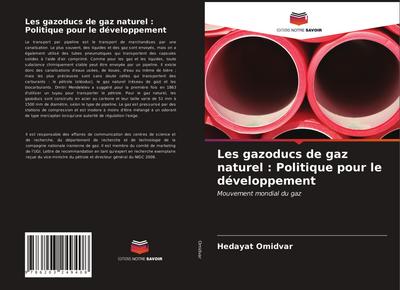 Les gazoducs de gaz naturel : Politique pour le développement