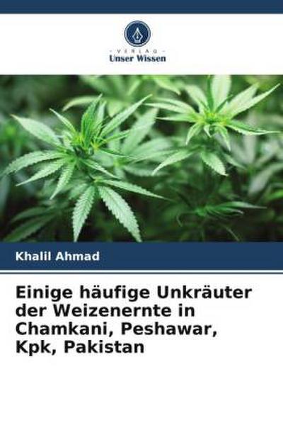 Einige häufige Unkräuter der Weizenernte in Chamkani, Peshawar, Kpk, Pakistan