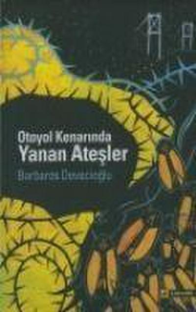 Otoyol Kenarinda Yanan Atesler