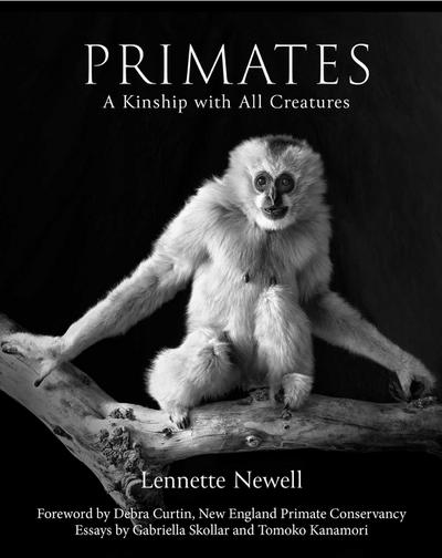 Primates