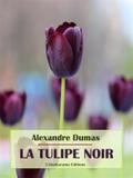 La Tulipe noire