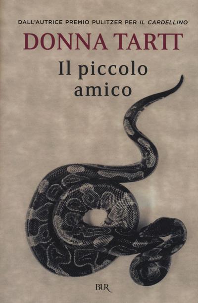 Il piccolo amico
