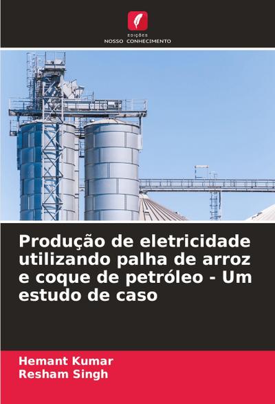 Produção de eletricidade utilizando palha de arroz e coque de petróleo - Um estudo de caso