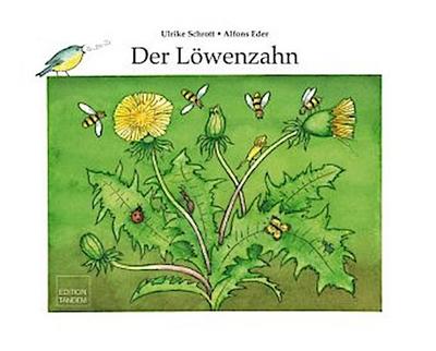 Der Löwenzahn