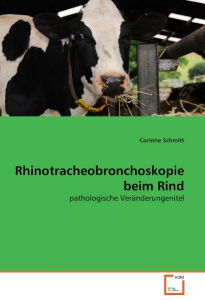 Rhinotracheobronchoskopie beim Rind
