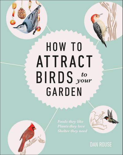 How to Attract Birds to Your Garden