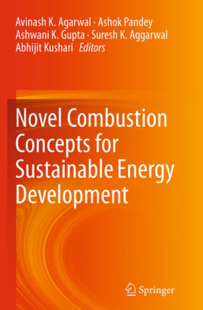 Novel Combustion Concepts for Sustainable Energy Development