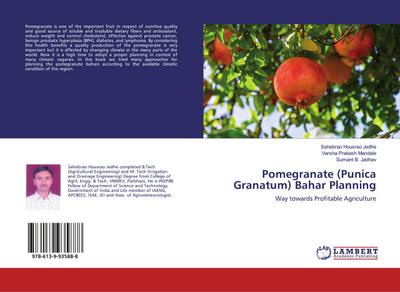Pomegranate (Punica Granatum) Bahar Planning