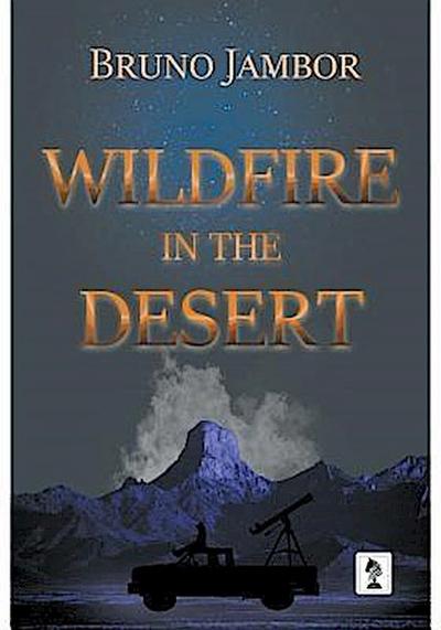 Wildfire in The Desert