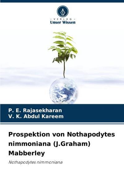 Prospektion von Nothapodytes nimmoniana (J.Graham) Mabberley