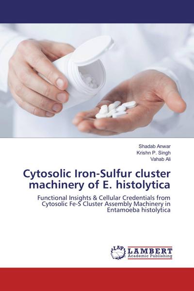 Cytosolic Iron-Sulfur cluster machinery of E. histolytica