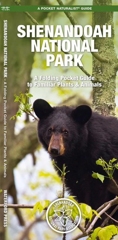 Shenandoah National Park