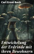 Entwickelung der Erdrinde mit ihren Bewohnern