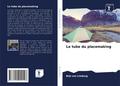 Le tube du placemaking
