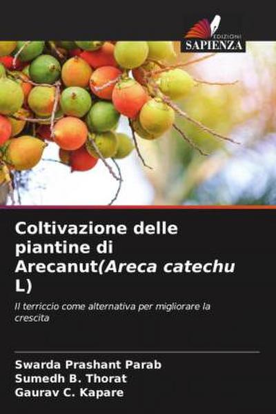 Coltivazione delle piantine di Arecanut(Areca catechu L)