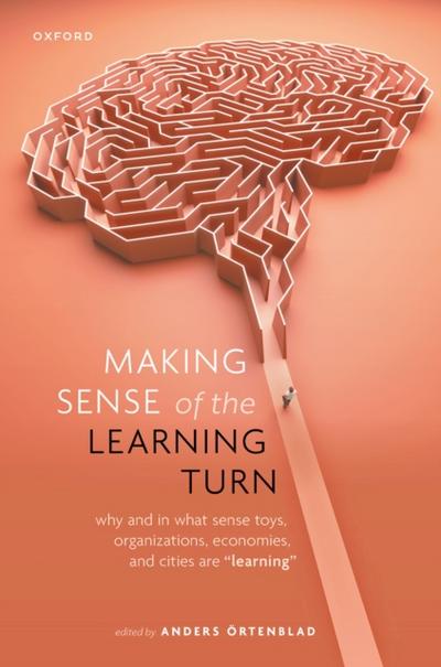 Making Sense of the Learning Turn