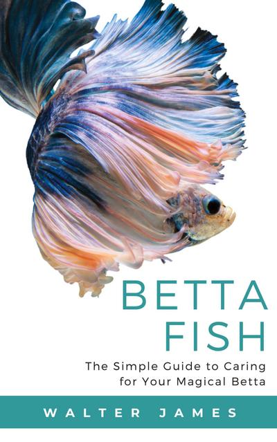 Betta Fish