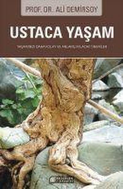 Ustaca Yasam