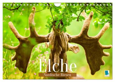 Elche: Nordische Riesen (Wandkalender 2026 DIN A4 quer), CALVENDO Monatskalender