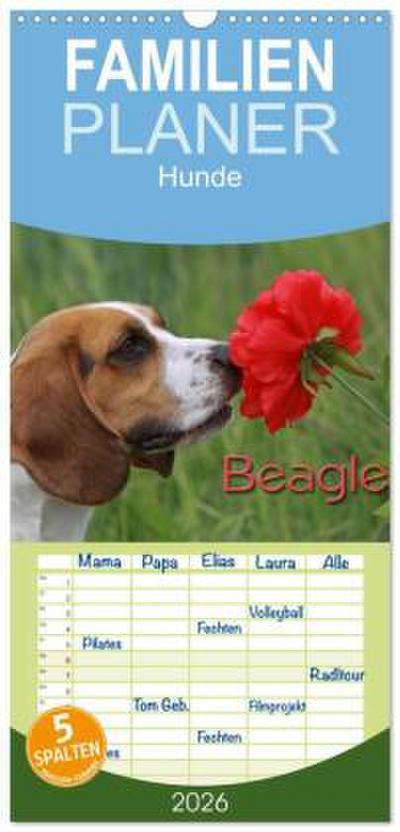 Familienplaner 2026 - Beagle mit 5 Spalten (Wandkalender, 21 x 45 cm) CALVENDO