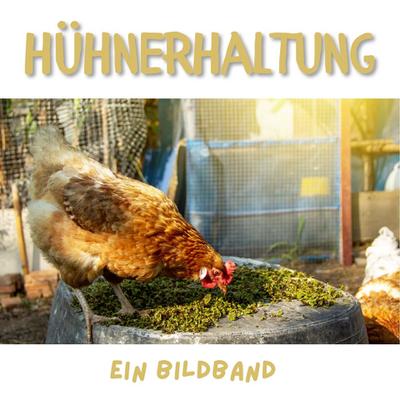 Hühnerhaltung