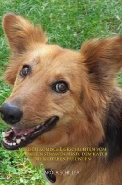 Tierisch komische Geschichten vom Bosnischen Straßenhund,  dem Kater und weiteren Freunden