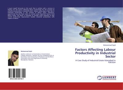 Factors Affecting Labour Productivity in Industrial Sector