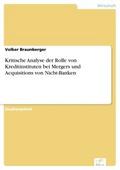 Kritische Analyse der Rolle von Kreditinstituten bei Mergers und Acquisitions von Nicht-Banken - Volker Braunberger