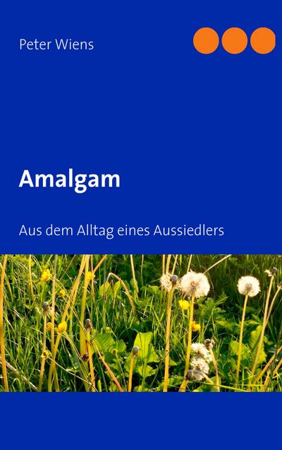 Amalgam