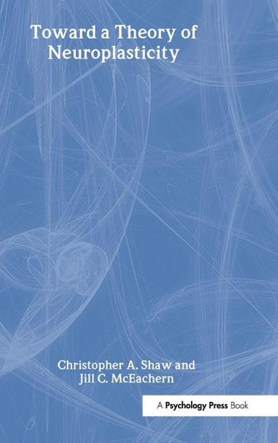 Toward a Theory of Neuroplasticity
