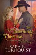 An Inconvenient Christmas (Convenient Risk Series, #2)