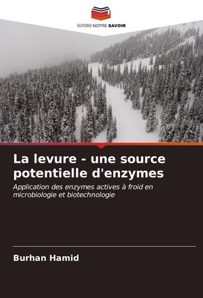 La levure - une source potentielle d’enzymes