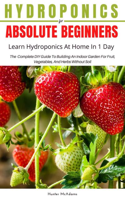 Hydroponics For Absolute Beginners (Learn Hydroponics At Home In One Day)