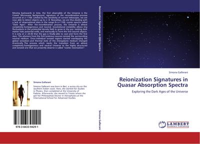 Reionization Signatures in Quasar Absorption Spectra - Simona Gallerani