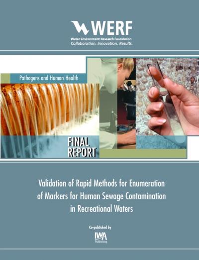 Validation of Rapid Methods for Enumeration of Markers for Human Sewage Contamination in Recreational Waters