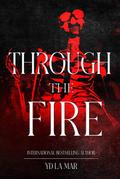 Through the Fire (Soul Taker Series)