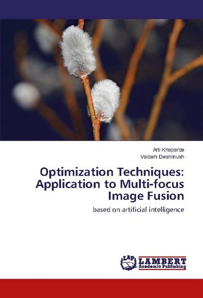 Optimization Techniques: Application to Multi-focus Image Fusion