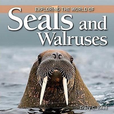 Exploring the World of Seals and Walruses