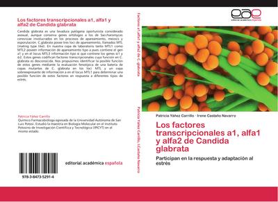 Los factores transcripcionales a1, alfa1 y alfa2 de Candida glabrata