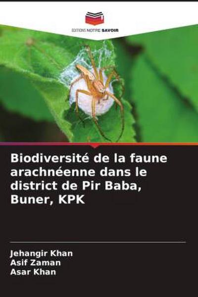 Biodiversité de la faune arachnéenne dans le district de Pir Baba, Buner, KPK