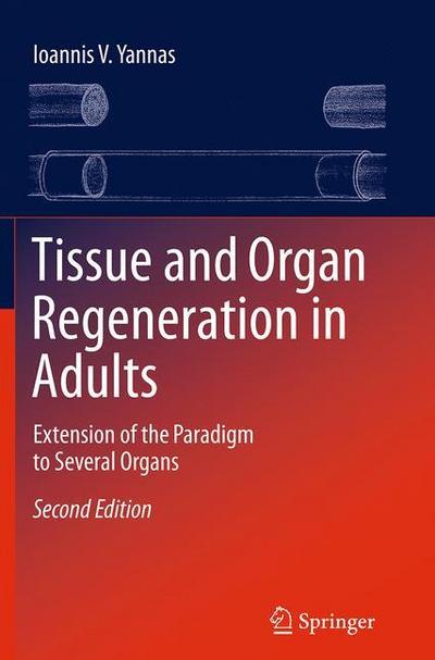 Tissue and Organ Regeneration in Adults
