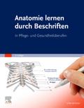 Anatomie lernen durch Beschriften