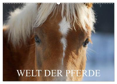 Welt der Pferde (Wandkalender 2024 DIN A2 quer), CALVENDO Monatskalender