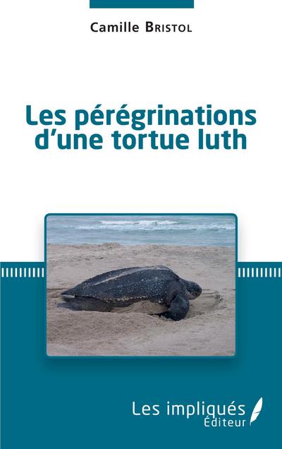 Les pérégrinations d’une tortue luth
