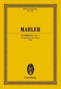 Sinfonie Nr.1 D-Dur