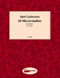 20 Microestudios
