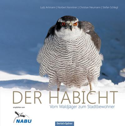 Der Habicht