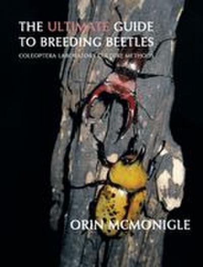 The Ultimate Guide to Breeding Beetles