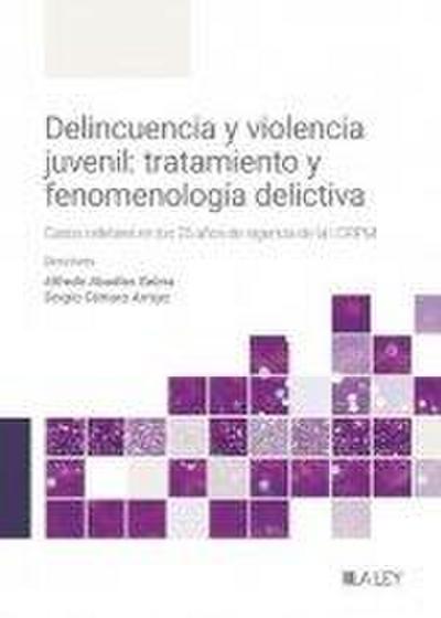 Delincuencia y violencia juvenil: tratamiento y fenomenología delictiva