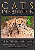 Cats in Question